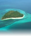 Coral Island