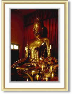 WAT TRAIMIT