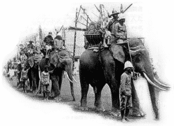la large contribution des elephants dans l'histoire thai